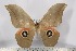  ( - BC-TB3120)  @13 [ ] Copyright (2010) Unspecified Research Collection of Thierry Bouyer
