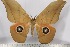  ( - BC-TB3122)  @12 [ ] Copyright (2010) Unspecified Research Collection of Thierry Bouyer