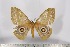  ( - BC-TB3136)  @13 [ ] Copyright (2010) Unspecified Research Collection of Thierry Bouyer