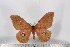  ( - BC-TB3137)  @13 [ ] Copyright (2010) Unspecified Research Collection of Thierry Bouyer