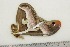  ( - BC-TB3188)  @12 [ ] Copyright (2010) Unspecified Research Collection of Thierry Bouyer