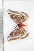  ( - BC-TB3344)  @12 [ ] Copyright (2010) Unspecified Research Collection of Thierry Bouyer