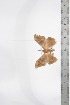  ( - BC-TB3367)  @12 [ ] Copyright (2010) Unspecified Research Collection of Thierry Bouyer