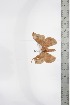 ( - BC-TB3369)  @12 [ ] Copyright (2010) Unspecified Research Collection of Thierry Bouyer