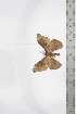  ( - BC-TB3372)  @11 [ ] Copyright (2010) Unspecified Research Collection of Thierry Bouyer