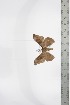  ( - BC-TB3373)  @12 [ ] Copyright (2010) Unspecified Research Collection of Thierry Bouyer