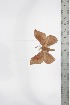  ( - BC-TB3377)  @12 [ ] Copyright (2010) Unspecified Research Collection of Thierry Bouyer