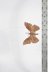  ( - BC-TB3378)  @12 [ ] Copyright (2010) Unspecified Research Collection of Thierry Bouyer