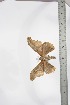 ( - BC-TB3498)  @12 [ ] Copyright (2010) Unspecified Research Collection of Thierry Bouyer