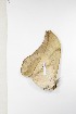  ( - BC-TB3855)  @12 [ ] Copyright (2010) Unspecified Research Collection of Thierry Bouyer