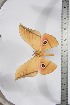  ( - BC-TB3872)  @12 [ ] Copyright (2010) Unspecified Research Collection of Thierry Bouyer