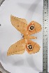  ( - BC-TB3884)  @11 [ ] Copyright (2010) Unspecified Research Collection of Thierry Bouyer