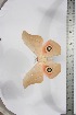  ( - BC-TB3892)  @11 [ ] Copyright (2010) Unspecified Research Collection of Thierry Bouyer