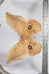  ( - BC-TB3897)  @14 [ ] Copyright (2010) Unspecified Research Collection of Thierry Bouyer