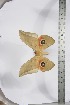  ( - BC-TB3920)  @13 [ ] Copyright (2010) Unspecified Research Collection of Thierry Bouyer