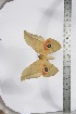 ( - BC-TB3921)  @13 [ ] Copyright (2010) Unspecified Research Collection of Thierry Bouyer