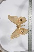  ( - BC-TB3923)  @11 [ ] Copyright (2010) Unspecified Research Collection of Thierry Bouyer