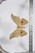  ( - BC-TB3924)  @13 [ ] Copyright (2010) Unspecified Research Collection of Thierry Bouyer