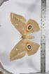  ( - BC-TB3925)  @11 [ ] Copyright (2010) Unspecified Research Collection of Thierry Bouyer