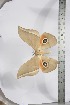  ( - BC-TB3928)  @11 [ ] Copyright (2010) Unspecified Research Collection of Thierry Bouyer
