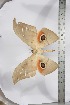  ( - BC-TB3930)  @11 [ ] Copyright (2010) Unspecified Research Collection of Thierry Bouyer