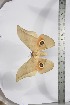  ( - BC-TB3934)  @13 [ ] Copyright (2010) Unspecified Research Collection of Thierry Bouyer