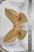  ( - BC-TB3948)  @13 [ ] Copyright (2010) Unspecified Research Collection of Thierry Bouyer
