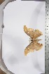  ( - BC-TB3962)  @11 [ ] Copyright (2010) Unspecified Research Collection of Thierry Bouyer