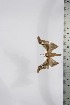  ( - BC-TB4035)  @13 [ ] Copyright (2010) Unspecified Research Collection of Thierry Bouyer