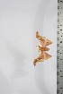  ( - BC-TB4037)  @12 [ ] Copyright (2010) Unspecified Research Collection of Thierry Bouyer