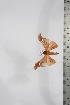  ( - BC-TB4041)  @11 [ ] Copyright (2010) Unspecified Research Collection of Thierry Bouyer
