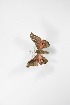  ( - BC-TB4053)  @11 [ ] Copyright (2010) Unspecified Research Collection of Thierry Bouyer
