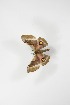  ( - BC-TB4066)  @11 [ ] Copyright (2010) Unspecified Research Collection of Thierry Bouyer