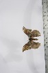  ( - BC-TB4141)  @12 [ ] Copyright (2010) Unspecified Research Collection of Thierry Bouyer