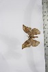 ( - BC-TB4142)  @12 [ ] Copyright (2010) Unspecified Research Collection of Thierry Bouyer
