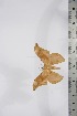  ( - BC-TB4260)  @13 [ ] Copyright (2010) Unspecified Research Collection of Thierry Bouyer