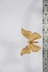  ( - BC-TB4261)  @13 [ ] Copyright (2010) Unspecified Research Collection of Thierry Bouyer