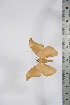  ( - BC-TB4262)  @13 [ ] Copyright (2010) Unspecified Research Collection of Thierry Bouyer