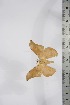  ( - BC-TB4263)  @14 [ ] Copyright (2010) Unspecified Research Collection of Thierry Bouyer