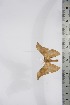  ( - BC-TB4265)  @13 [ ] Copyright (2010) Unspecified Research Collection of Thierry Bouyer