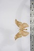  ( - BC-TB4267)  @13 [ ] Copyright (2010) Unspecified Research Collection of Thierry Bouyer