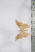  ( - BC-TB4269)  @13 [ ] Copyright (2010) Unspecified Research Collection of Thierry Bouyer