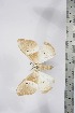  ( - BC-TB4287)  @11 [ ] Copyright (2010) Unspecified Research Collection of Thierry Bouyer