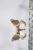  ( - BC-TB4288)  @12 [ ] Copyright (2010) Unspecified Research Collection of Thierry Bouyer
