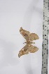  ( - BC-TB4320)  @12 [ ] Copyright (2010) Unspecified Research Collection of Thierry Bouyer