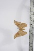  ( - BC-TB4321)  @12 [ ] Copyright (2010) Unspecified Research Collection of Thierry Bouyer