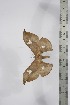  ( - BC-TB4340)  @12 [ ] Copyright (2010) Unspecified Research Collection of Thierry Bouyer