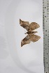  ( - BC-TB4397)  @12 [ ] Copyright (2010) Unspecified Research Collection of Thierry Bouyer