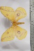  ( - BC-TB4416)  @12 [ ] Copyright (2010) Unspecified Research Collection of Thierry Bouyer
