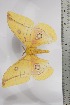  ( - BC-TB4417)  @12 [ ] Copyright (2010) Unspecified Research Collection of Thierry Bouyer